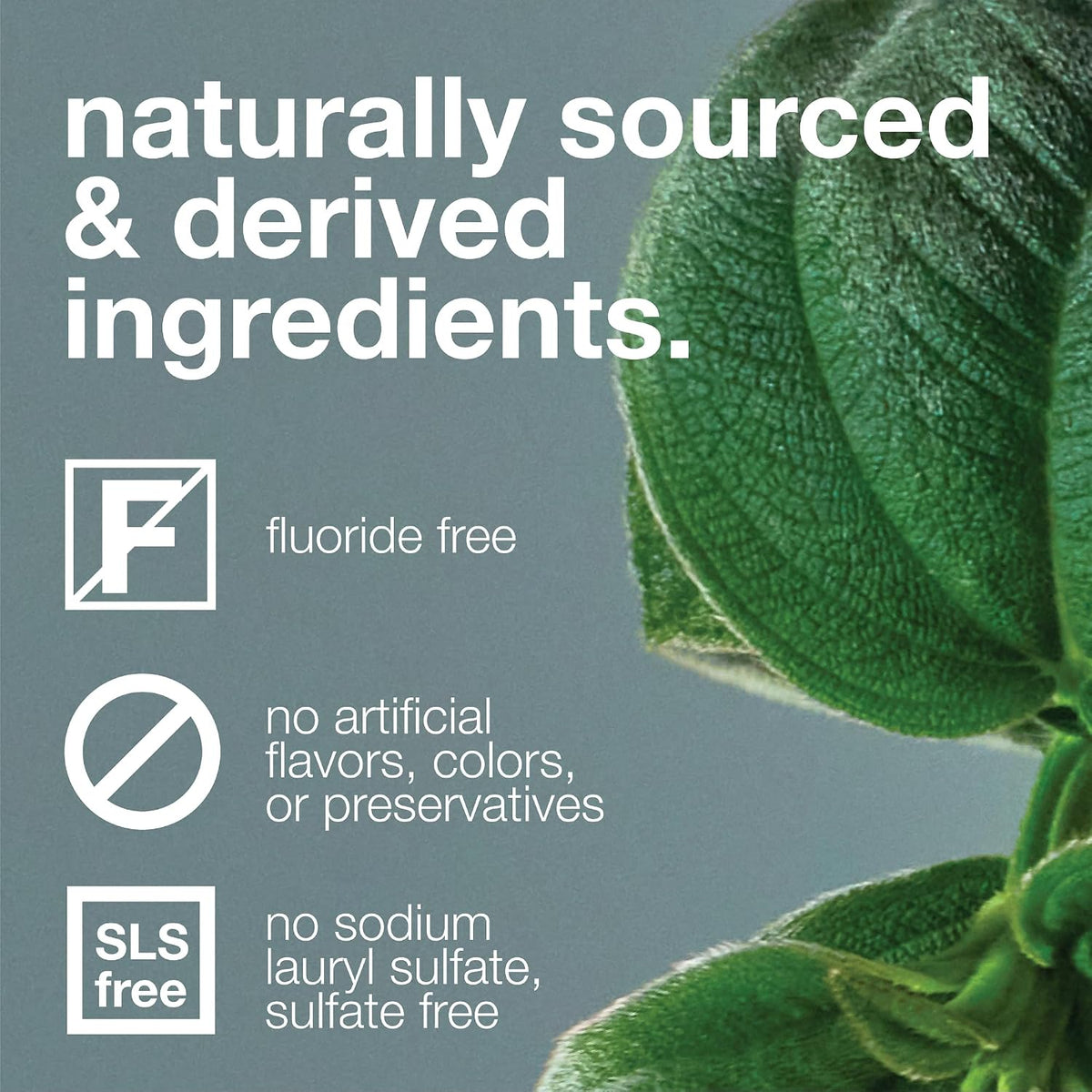 Davids Fluoride Free Toothpaste Teeth Whitening SLS Free Spearmint 5.25oz